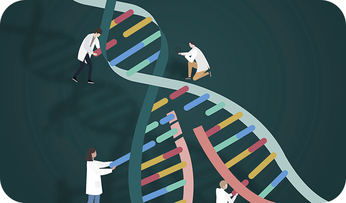 HPV DNA 검사