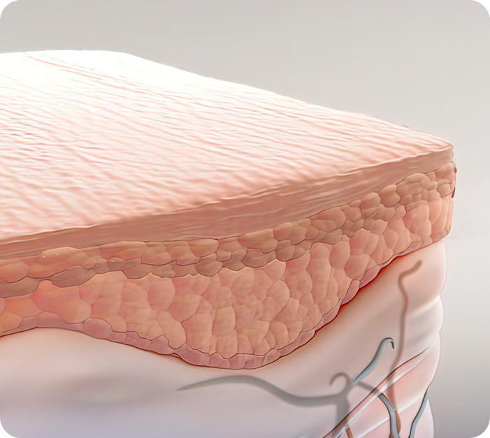 Vaginal rejuvenation 권고 대상